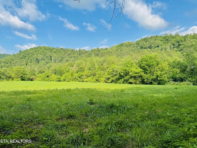 1668 Misty Mountain Way, Sevierville, TN 37876 - photo 3