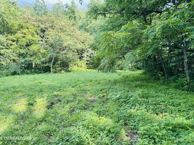 1668 Misty Mountain Way, Sevierville, TN 37876 - photo 15