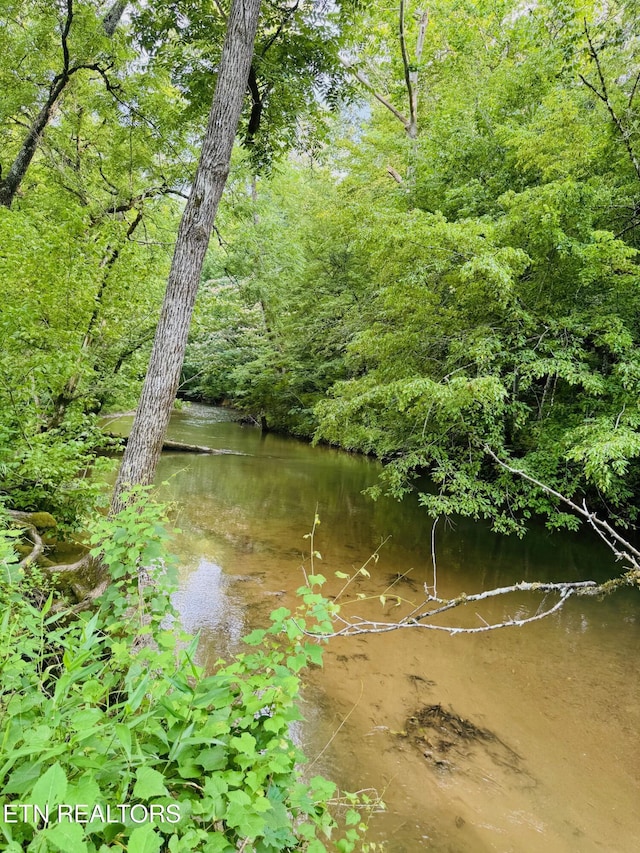 1668 Misty Mountain Way, Sevierville, TN 37876 - photo 22