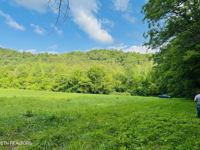 1668 Misty Mountain Way, Sevierville, TN 37876 - photo 18