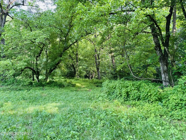 1668 Misty Mountain Way, Sevierville, TN 37876 - photo 7