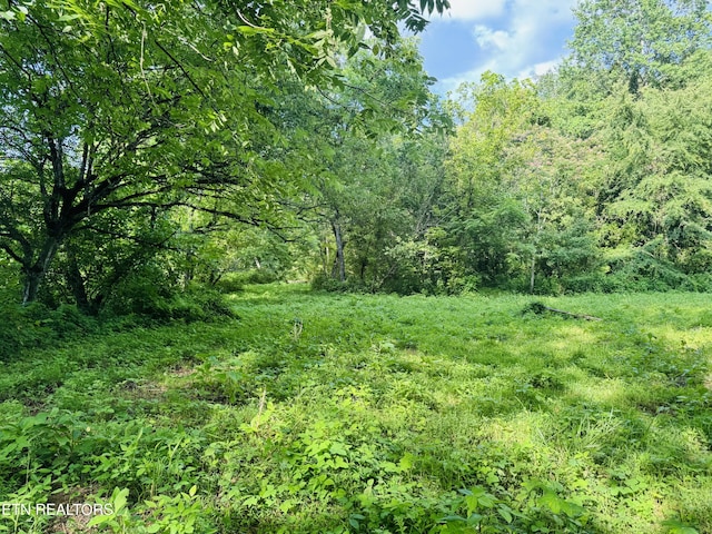 1668 Misty Mountain Way, Sevierville, TN 37876 - photo 14