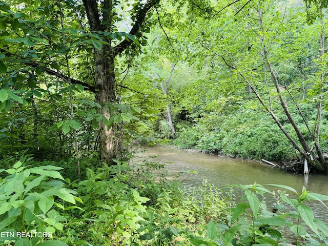 1668 Misty Mountain Way, Sevierville, TN 37876 - photo 24