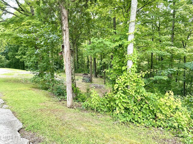 150 Clear Branch Rd, Rocky Top, TN 37769