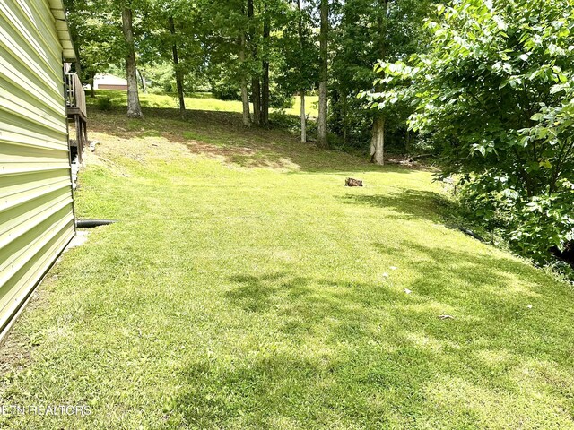 150 Clear Branch Rd, Rocky Top, TN 37769