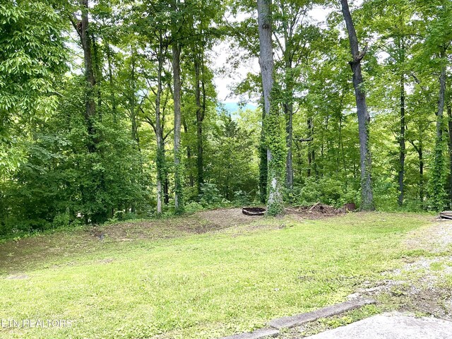 150 Clear Branch Rd, Rocky Top, TN 37769
