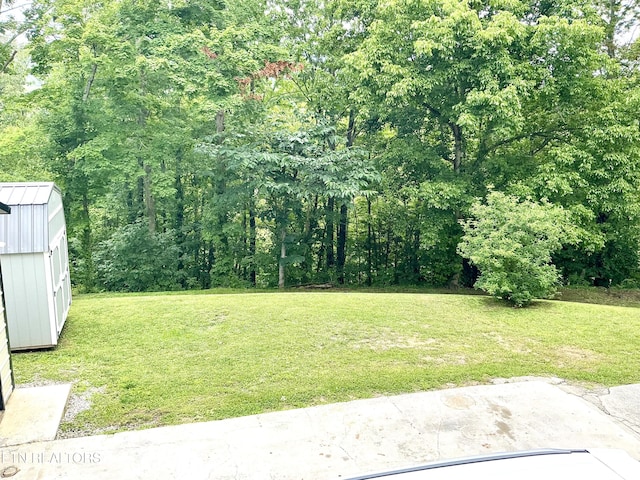 150 Clear Branch Rd, Rocky Top, TN 37769