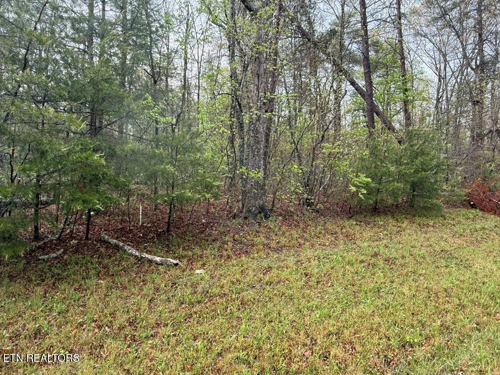 0 Mountain Ash Dr, Monterey, TN 38574 - photo 1