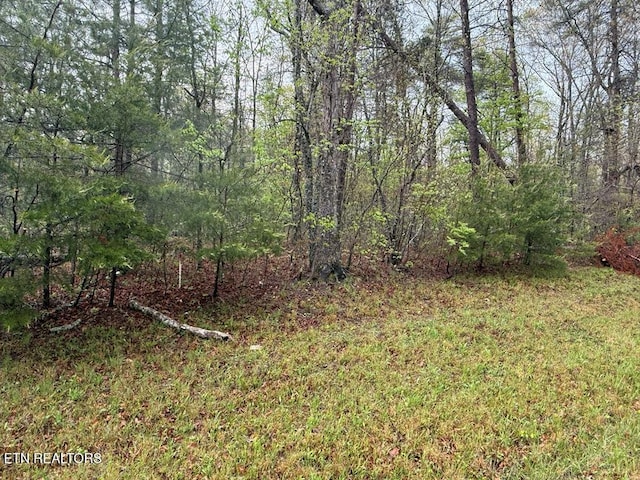 0 Mountain Ash Dr, Monterey, TN 38574 - photo 1