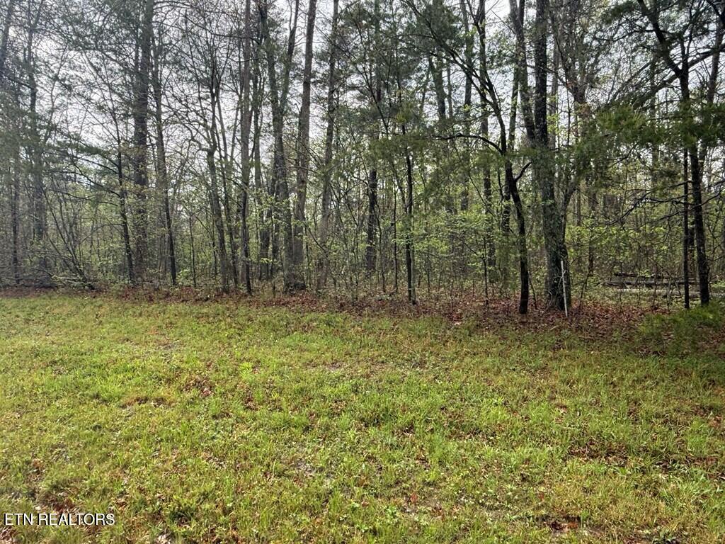 0 Mountain Ash Dr, Monterey, TN 38574 - photo 2