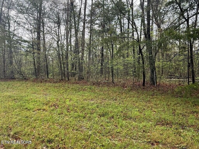 0 Mountain Ash Dr, Monterey, TN 38574 - photo 2