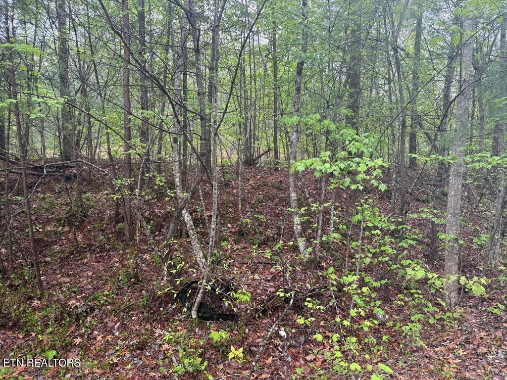0 Muddy Branch Rd, Crossville, TN 38571