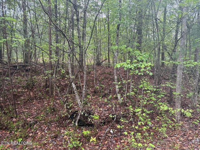 0 Muddy Branch Rd, Crossville, TN 38571