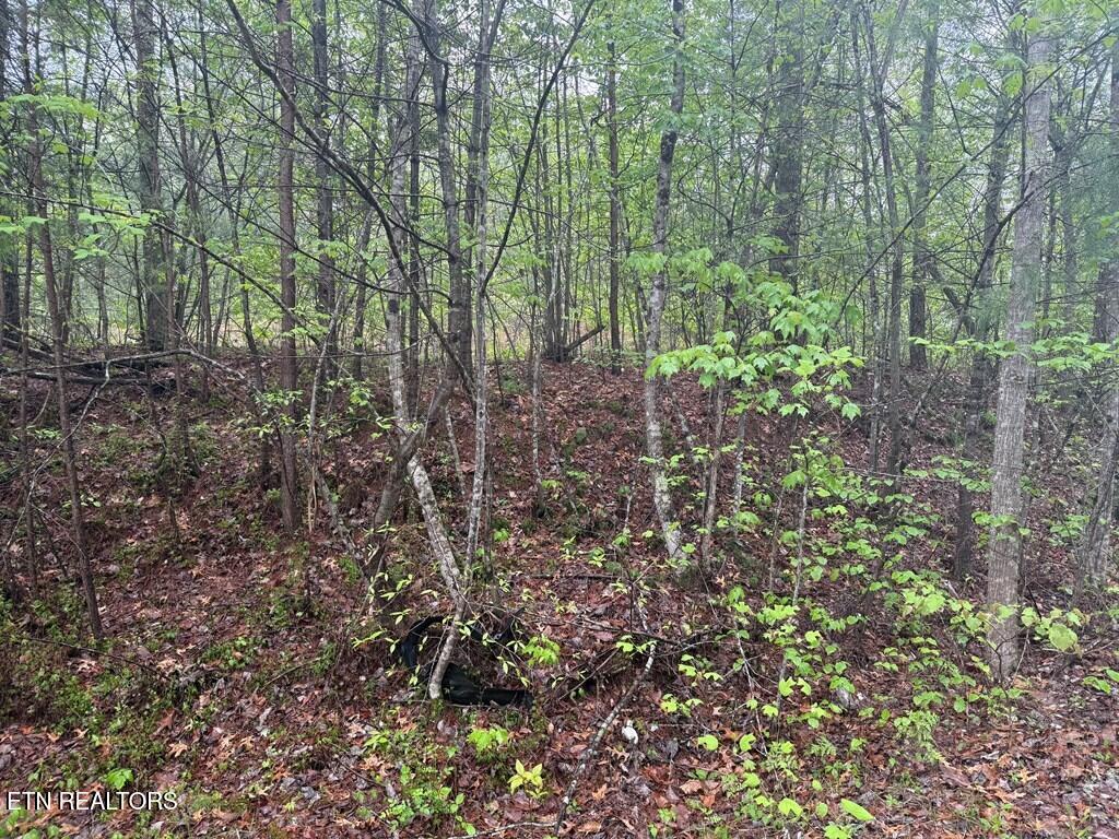 0 Muddy Branch Rd, Crossville, TN 38571