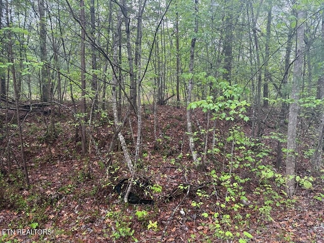 0 Muddy Branch Rd, Crossville, TN 38571