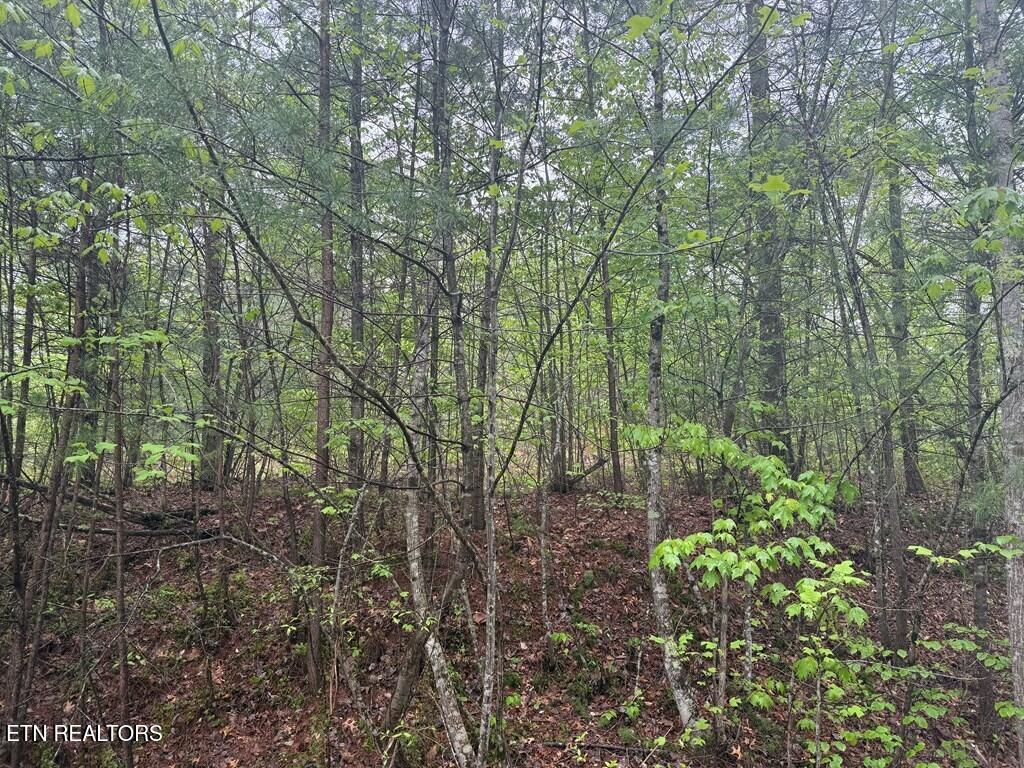 0 Muddy Branch Rd, Crossville, TN 38571