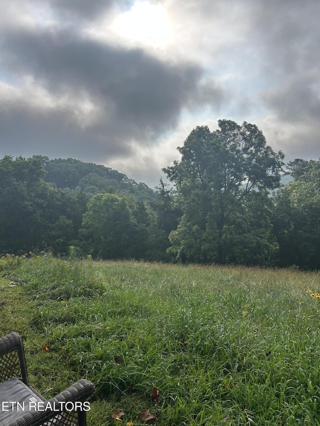 167 Marina Ln, Lafollette, TN 37766 - view of mountain backdrop featuring a heavily wooded area