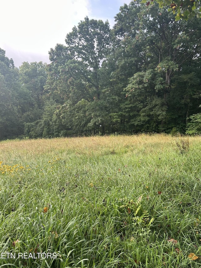167 Marina Ln, Lafollette, TN 37766 - view of tree filled area