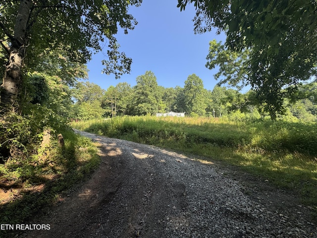167 Marina Ln, Lafollette, TN 37766 - view of street featuring a forest view