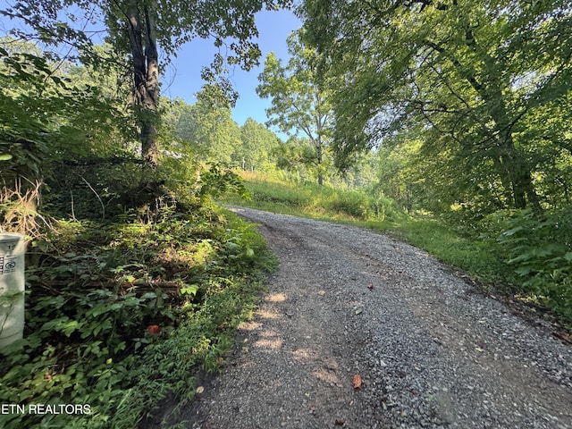 167 Marina Ln, Lafollette, TN 37766 - view of street featuring a view of trees