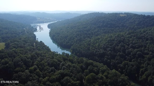 167 Marina Ln, Lafollette, TN 37766 - aerial view of a heavily wooded area and a water and mountain view