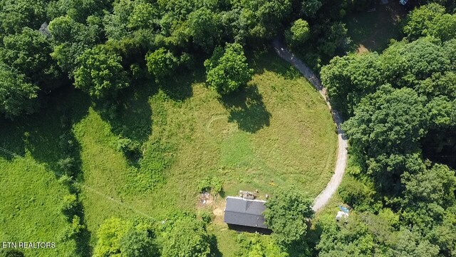 167 Marina Ln, Lafollette, TN 37766 - view of property location