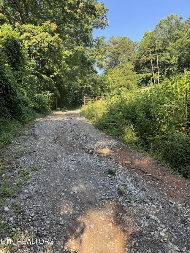 167 Marina Ln, Lafollette, TN 37766 - view of road featuring a view of trees