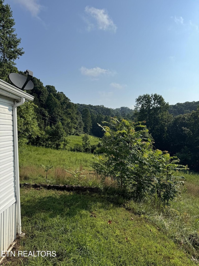 167 Marina Ln, Lafollette, TN 37766 - view of yard featuring a view of trees