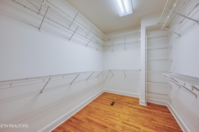 2150 Hirst Cir, Lenoir City, TN 37771 - spacious closet with light wood-style floors