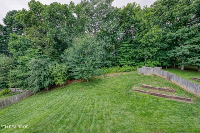 2150 Hirst Cir, Lenoir City, TN 37771 - view of yard