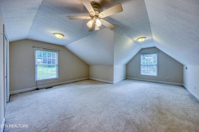 2150 Hirst Cir, Lenoir City, TN 37771 - additional living space featuring a textured ceiling, vaulted ceiling, and carpet floors