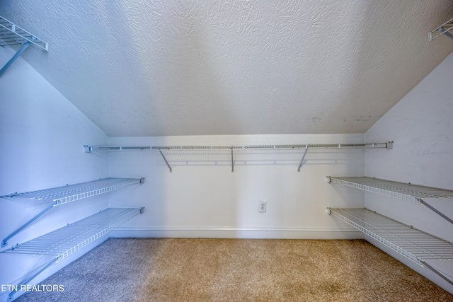 2150 Hirst Cir, Lenoir City, TN 37771 - walk in closet featuring carpet flooring and vaulted ceiling