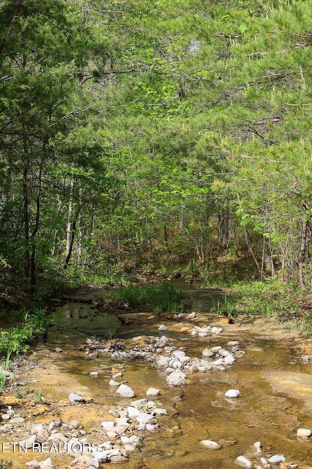 106 Laurelwood Dr, Crossville, TN 38558 - photo 17