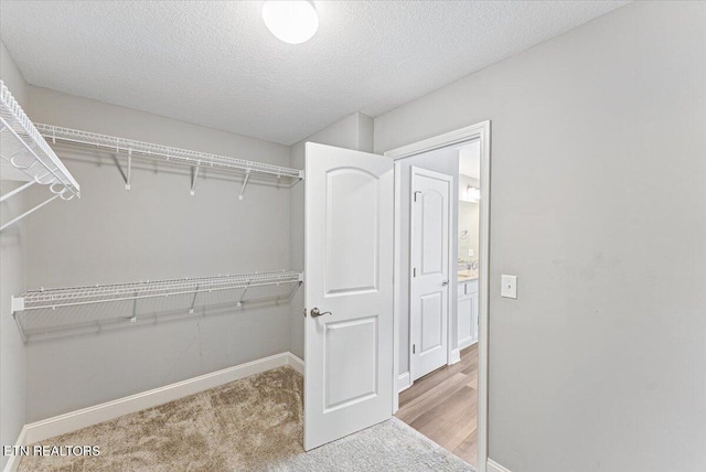 8630 Yellow Aster Rd, Knoxville, TN 37931 - walk in closet with carpet floors
