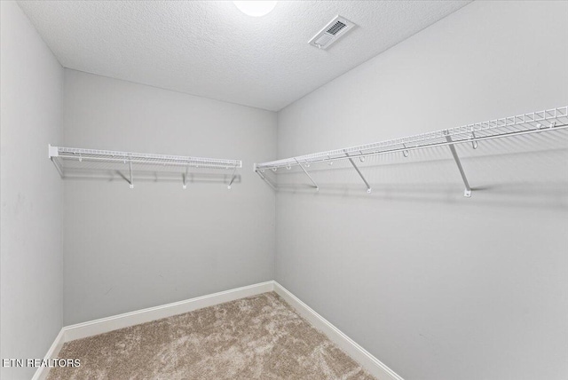 8630 Yellow Aster Rd, Knoxville, TN 37931 - walk in closet featuring carpet