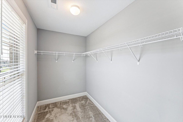 8630 Yellow Aster Rd, Knoxville, TN 37931 - walk in closet featuring carpet