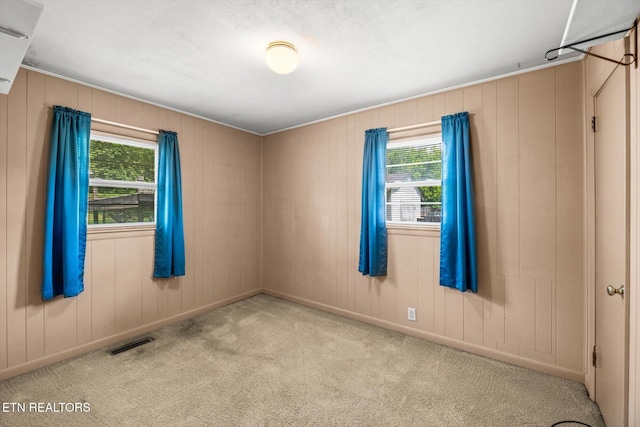 132 County Road 79, Riceville, TN 37370 - carpeted empty room with plenty of natural light