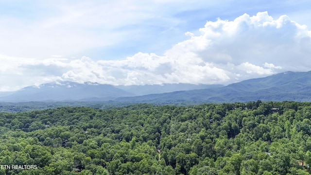 2526 N School House Gap Rd, Sevierville, TN 37876 - view of mountain background featuring a heavily wooded area