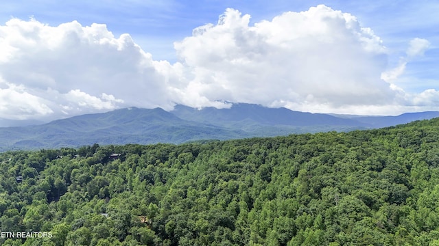 2526 N School House Gap Rd, Sevierville, TN 37876 - view of mountain background featuring a heavily wooded area