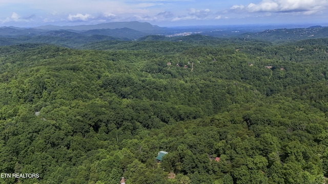 2526 N School House Gap Rd, Sevierville, TN 37876 - aerial view of a forest and a mountainous background