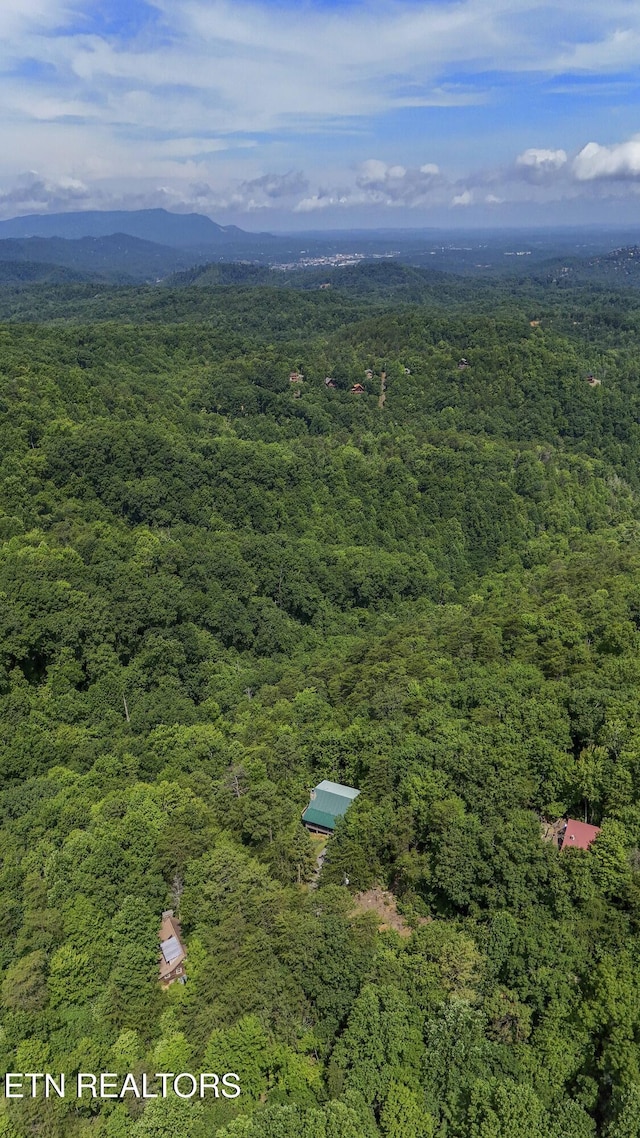 2526 N School House Gap Rd, Sevierville, TN 37876 - bird's eye view of a forest and a mountain backdrop