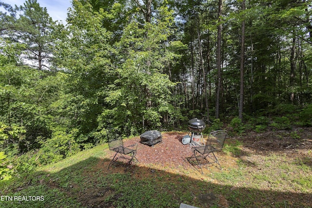 2526 N School House Gap Rd, Sevierville, TN 37876 - view of yard with a view of trees