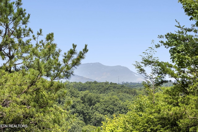 2526 N School House Gap Rd, Sevierville, TN 37876 - view of mountain background featuring a heavily wooded area