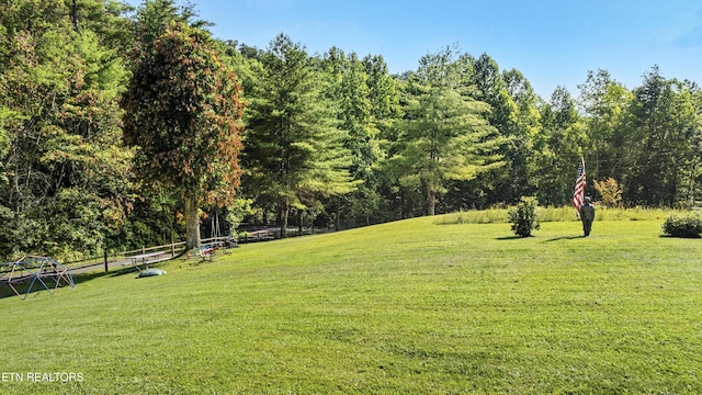 4720 Laws Rd, Del Rio, TN 37727 - view of yard featuring a forest view
