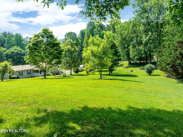 741 E Millers Cove Rd, Walland, TN 37886 - photo 47