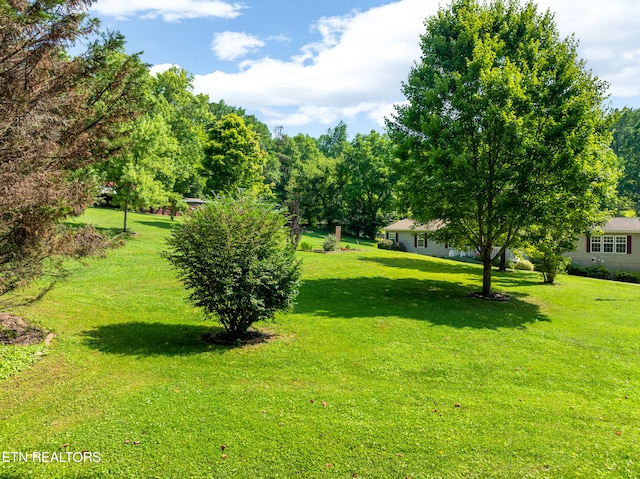 741 E Millers Cove Rd, Walland, TN 37886 - photo 49