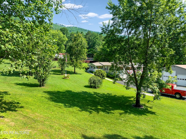 741 E Millers Cove Rd, Walland, TN 37886 - photo 52