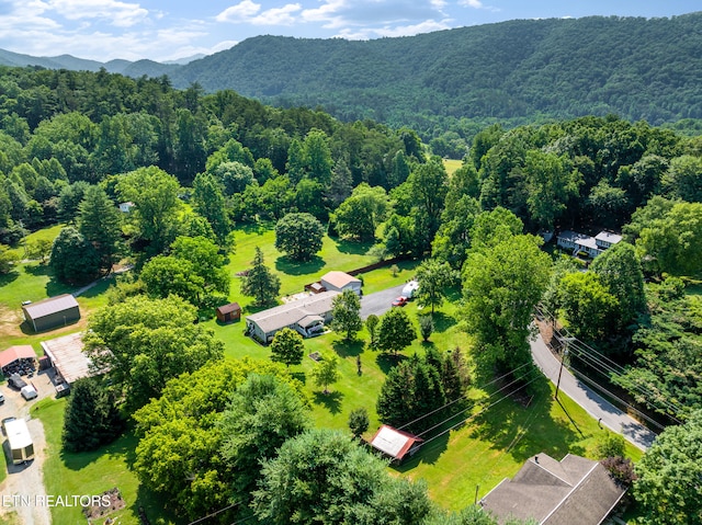 741 E Millers Cove Rd, Walland, TN 37886 - photo 59