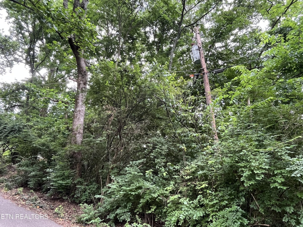 2504 Craghead Ln, Knoxville, TN 37920 - photo 2