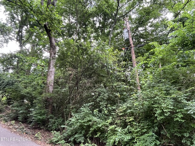 2504 Craghead Ln, Knoxville, TN 37920 - photo 2